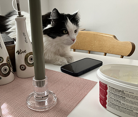 Lucifer på Annas bord vill ha glass