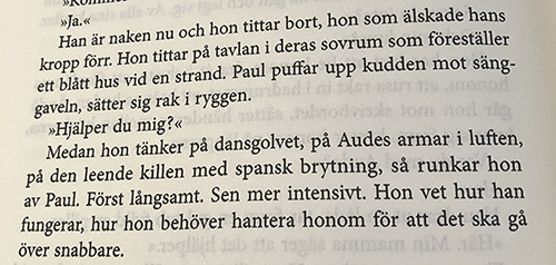 Snuskbok