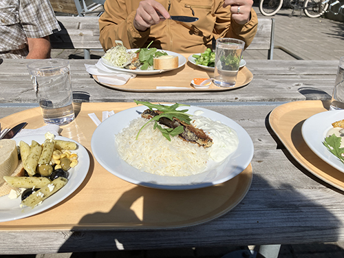 Vegetarisk utomhuslunch aubergine med ris o tzatziki Vegetarisk utomhuslunch aubergine med ris o tzatziki