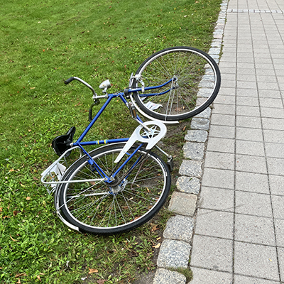 Blå herrcykel slängd i gräset i Carolinabacken