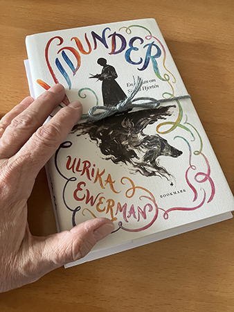 Boken Vidunder av Ulrika Ewerman för recension