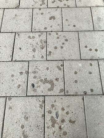 Droppar på gångplattor