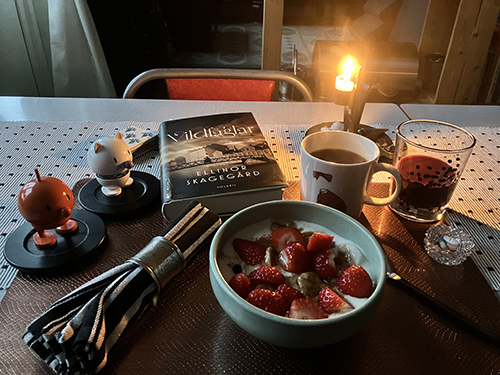 Frukost med levande ljus boken Vildfåglar Hopptisarna fil med bär Frukost med levande ljus boken Vildfåglar Hopptisarna fil med bär