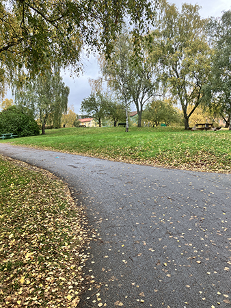 Höganäsparken höst