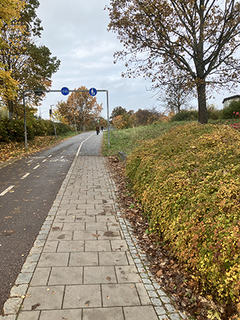 Höstpromenad över Råbyleden