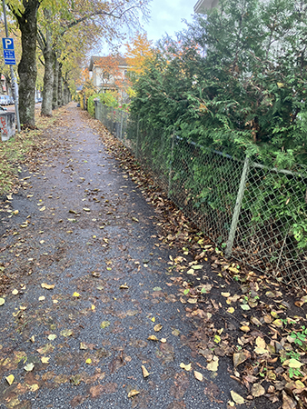 Höstpromenad på Timmermansgatan