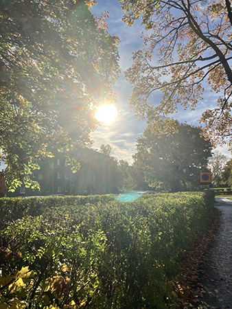 Höstsol i Höganäsparken