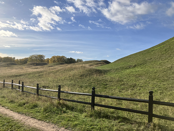 Knöligt hela vägen Gamla Uppsala gravhögar höst
