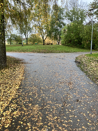 Korsning i Höganäsparken höst