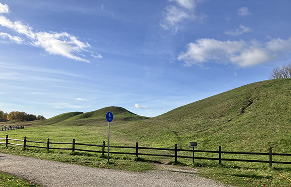 Kungshögarna Gamla Uppsala höst