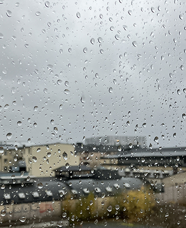 Regn på rutan