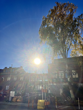 Sol över Storgatan 11 höst