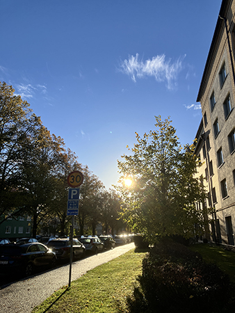 Soligt på Botvidsgatan höst