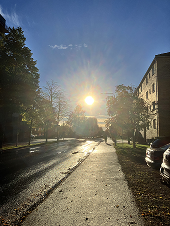 Soligt på Torkelsgatan höst