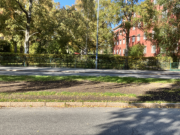 Täckt grop gräsfri i allén