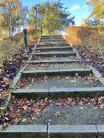 Trappa i Höganäsparken höst