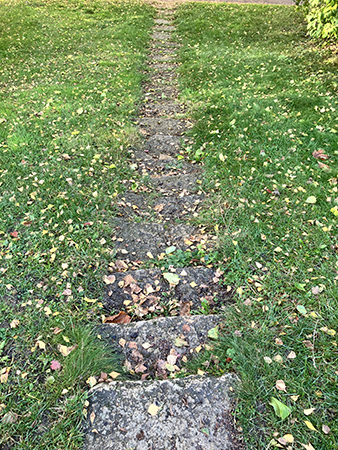 Trappsteg ner i Höganäsparken